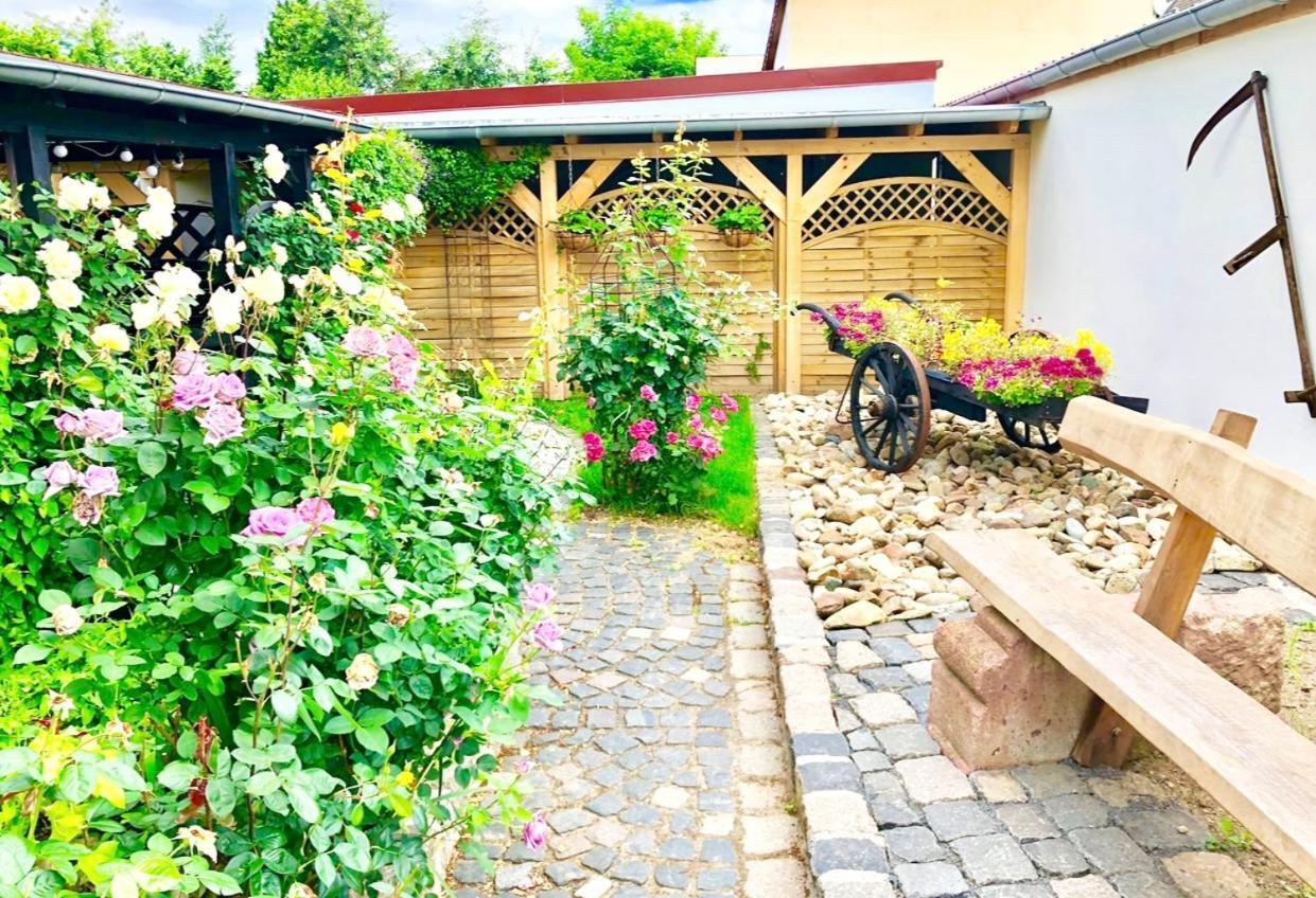 Ferienwohnungen Grimma 1 Exterior foto